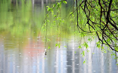 雨中的守护者 —— 囊谦珍珠棉的应用实践